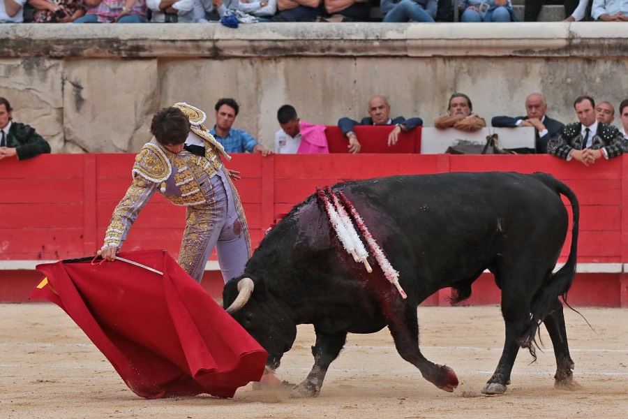Nimes, domingo 9 de junio de 2019. Tarde