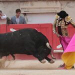 Nimes, domingo 9 de junio de 2019. Tarde
