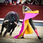 Madrid. Domingo 30 de junio de 2019