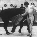 La última tarde de Ruiz Miguel en Nimes