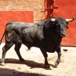 Algeciras. Sábado 29 de junio de 2019