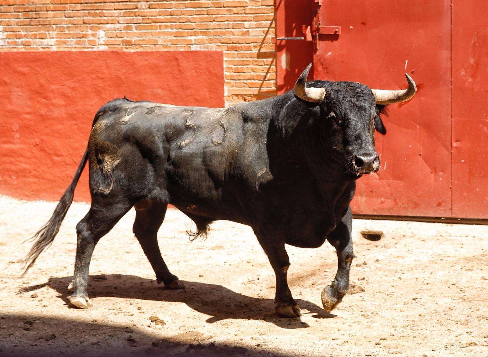 Algeciras. Sábado 29 de junio de 2019