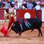 Zamora. Sábado 29 de junio de 2019