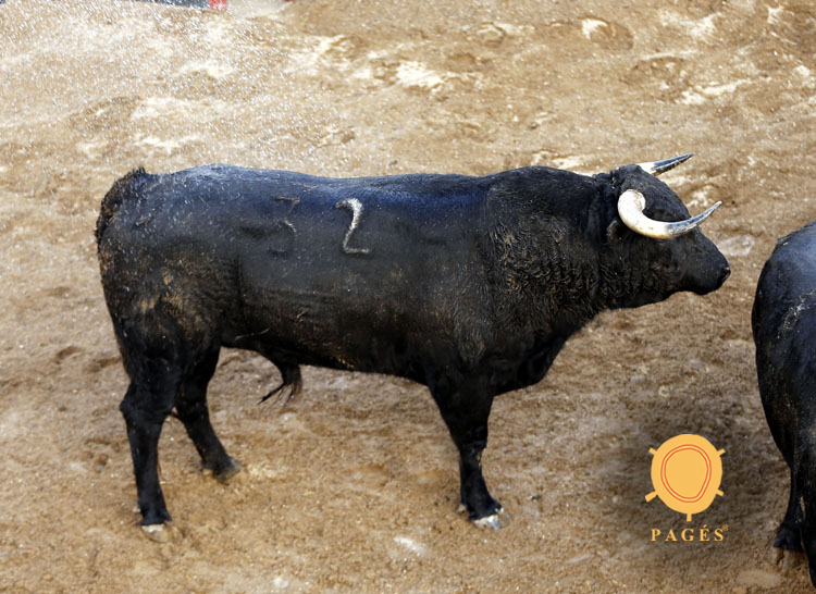 Novillos de Dolores Rufino para Sevilla. 6 de junio de 2019.