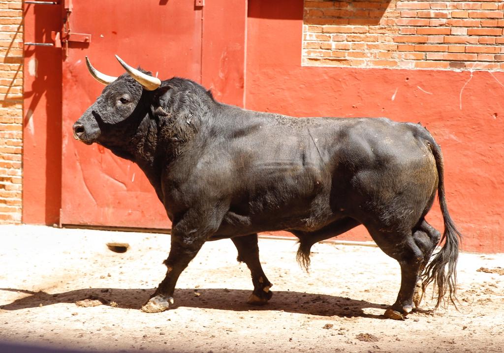 Algeciras. Sábado 29 de junio de 2019
