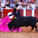 Zamora. Sábado 29 de junio de 2019