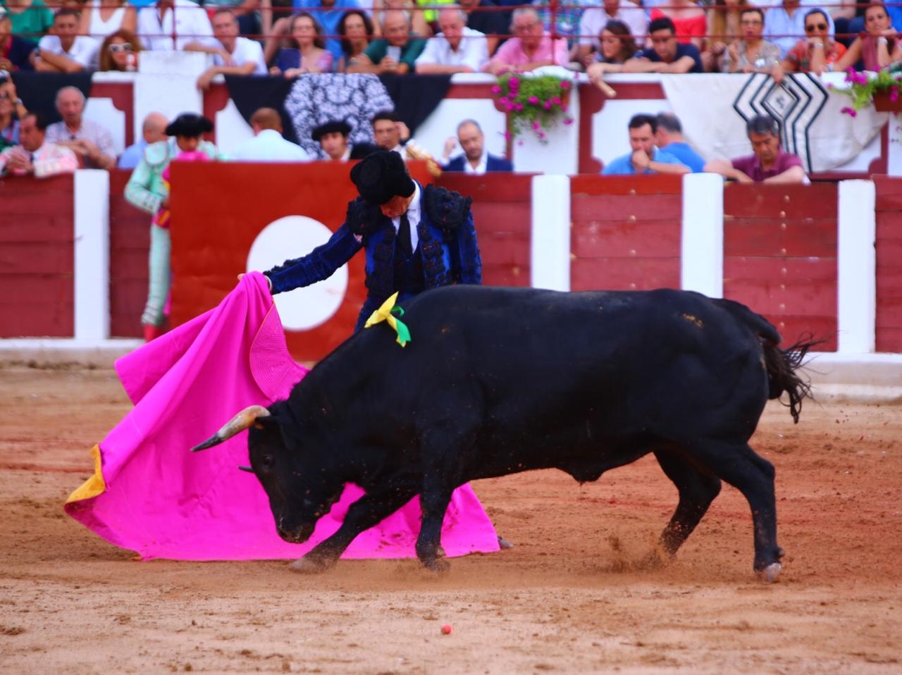 Zamora. Sábado 29 de junio de 2019