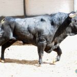 Sorteo. Madrid, domingo 23 de junio de 2019