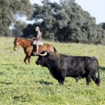 Los toros de Cuadri para el 13 de junio de 2019
