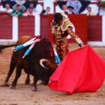 Zamora. Sábado 29 de junio de 2019