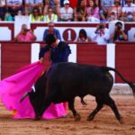 Zamora. Sábado 29 de junio de 2019