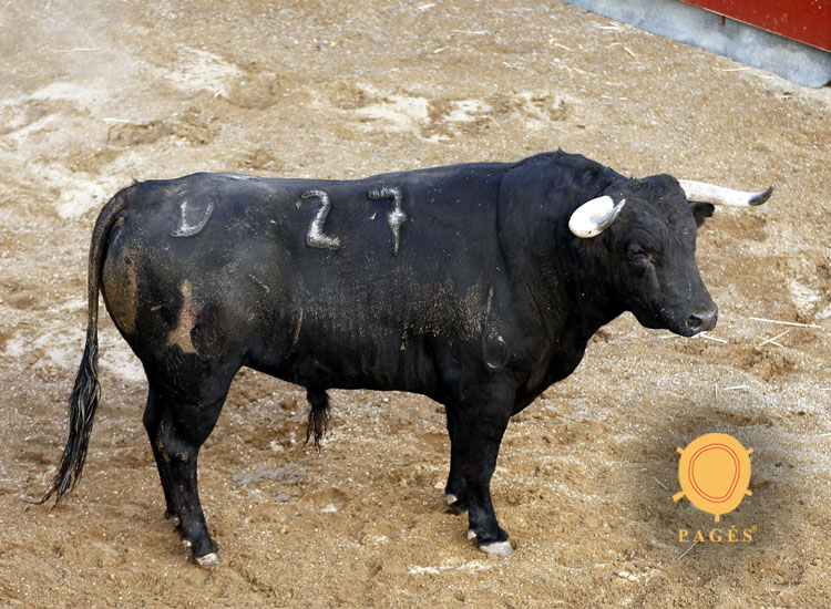 Novillos de Dolores Rufino para Sevilla. 6 de junio de 2019.