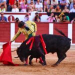 Zamora. Sábado 29 de junio de 2019