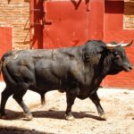 Algeciras. Sábado 29 de junio de 2019