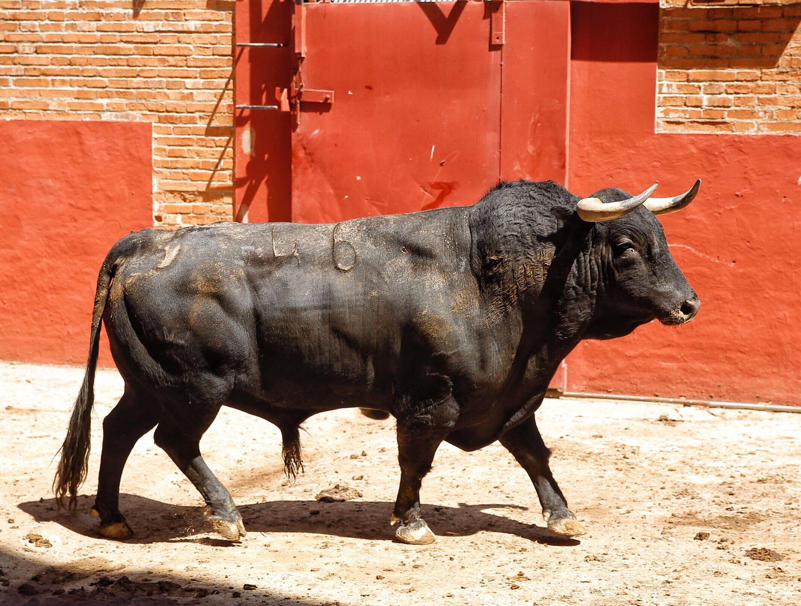 Algeciras. Sábado 29 de junio de 2019