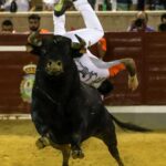 Concurso de recortes benéfico de Villaseca de la Sagra