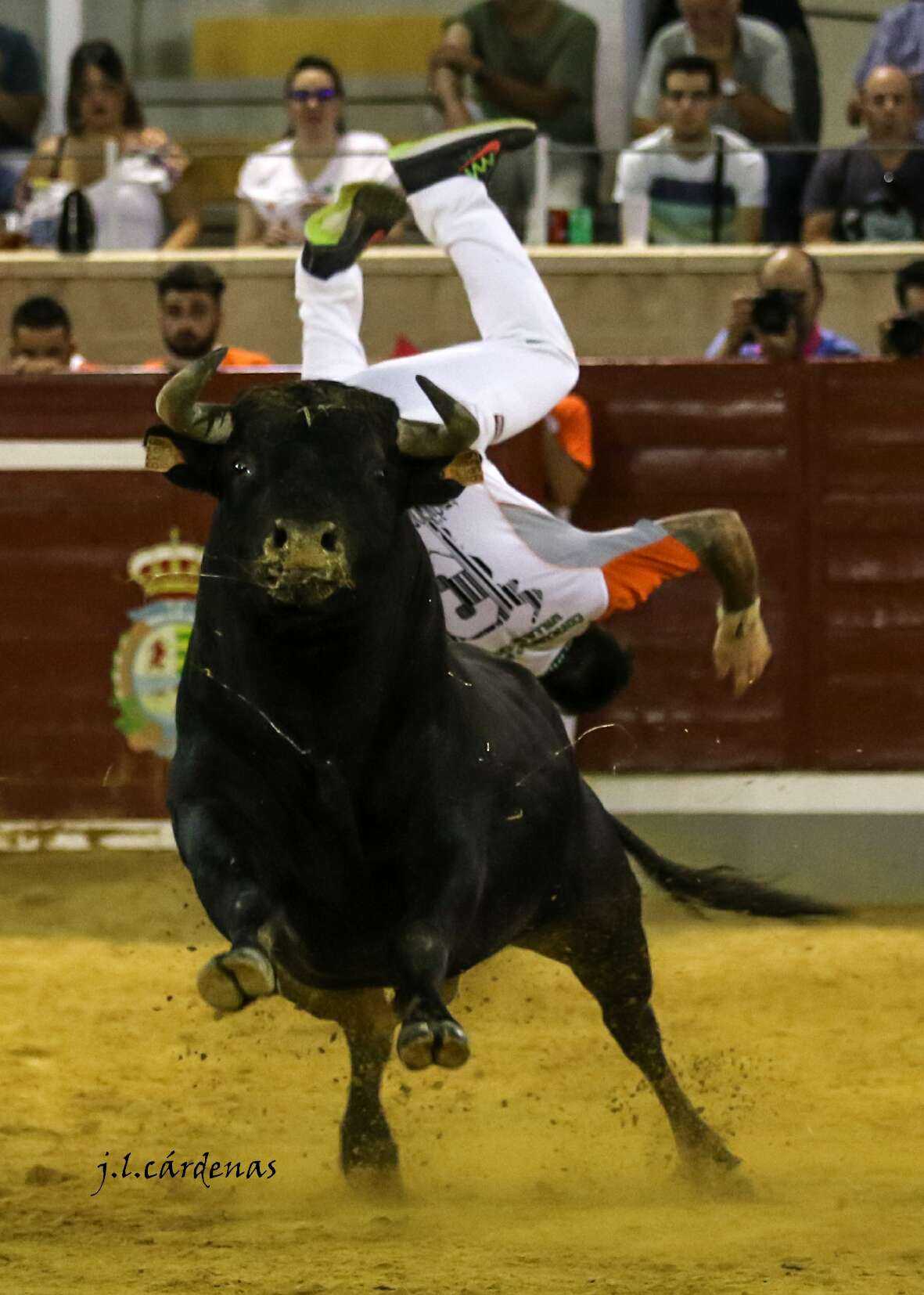 Concurso de recortes benéfico de Villaseca de la Sagra