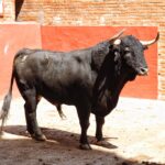 Algeciras. Sábado 29 de junio de 2019