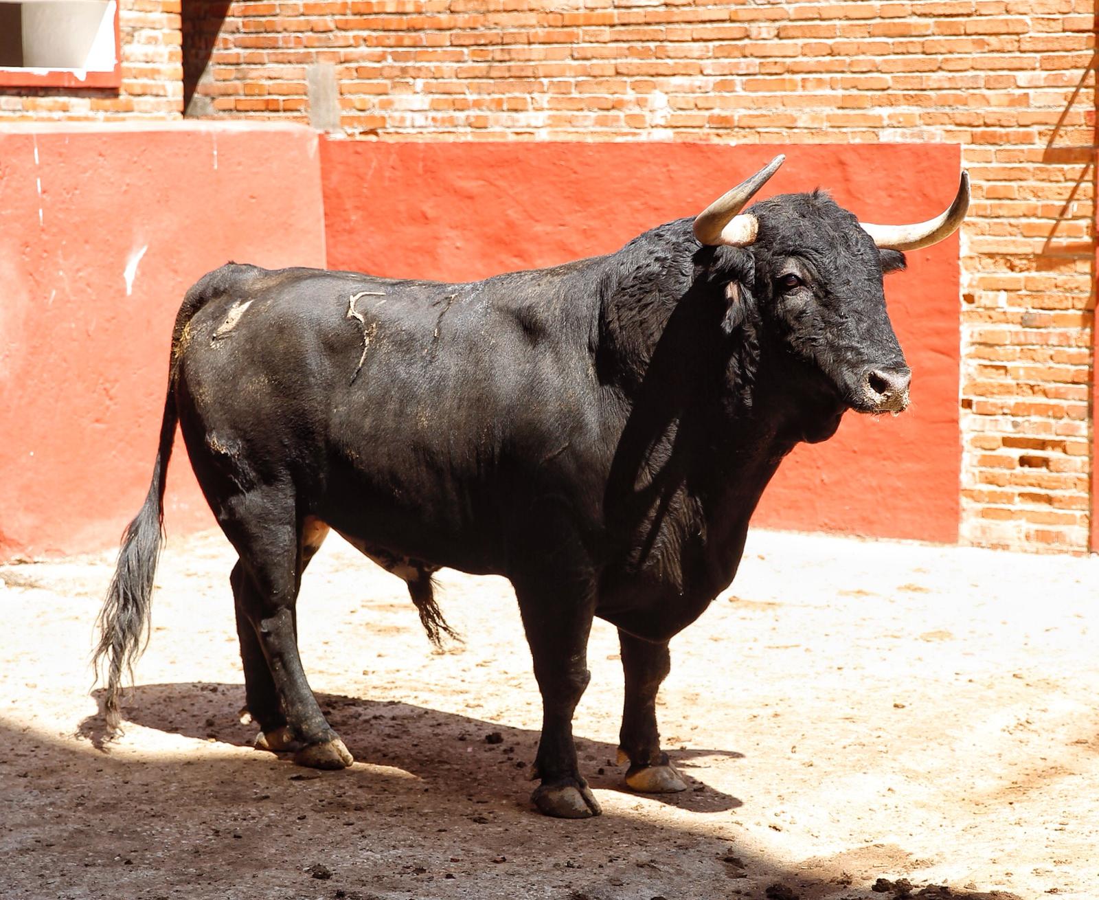 Algeciras. Sábado 29 de junio de 2019