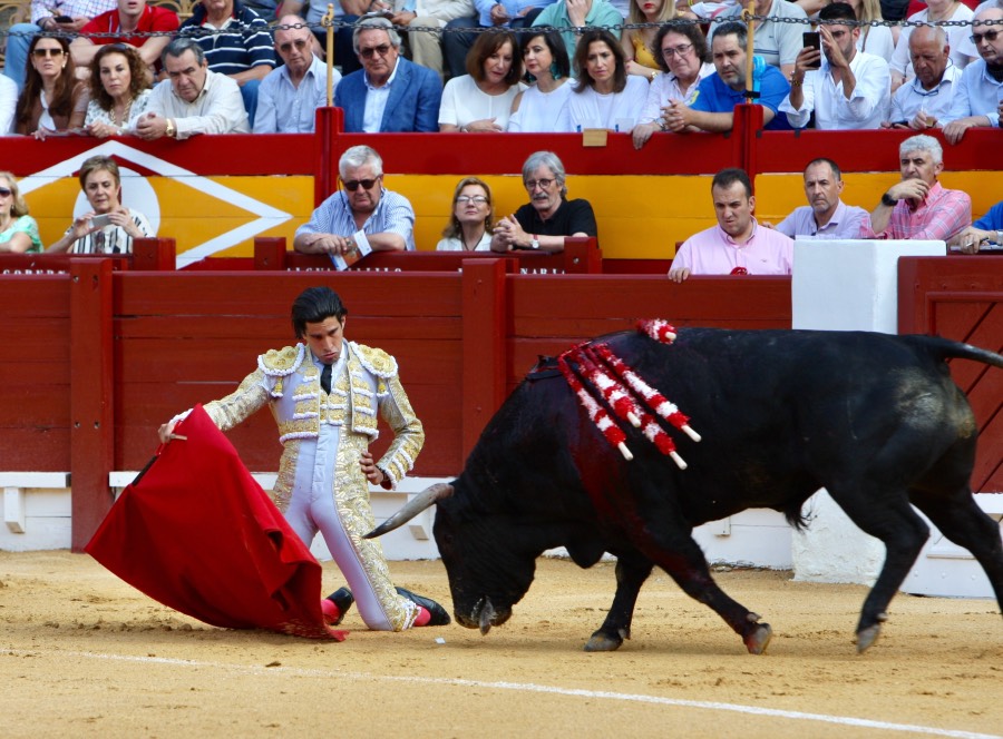 Alicante, viernes 21 de junio de 2019