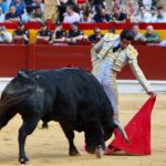 Alicante, viernes 21 de junio de 2019