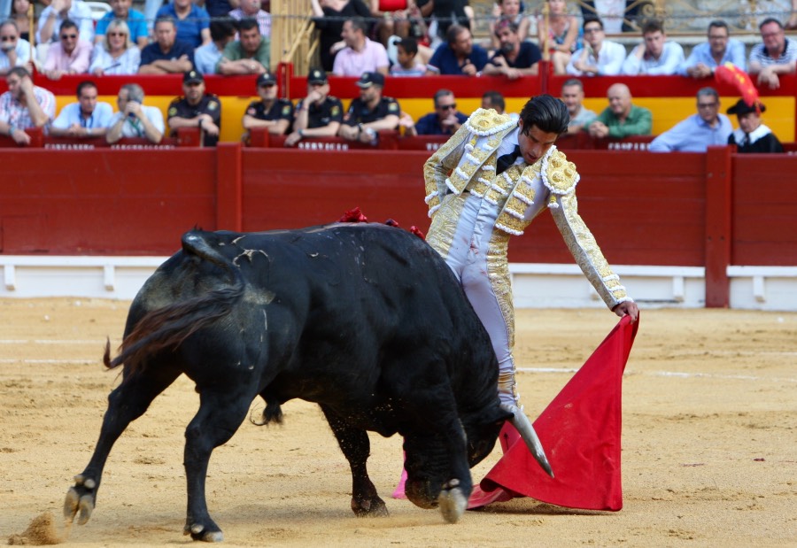 Alicante, viernes 21 de junio de 2019