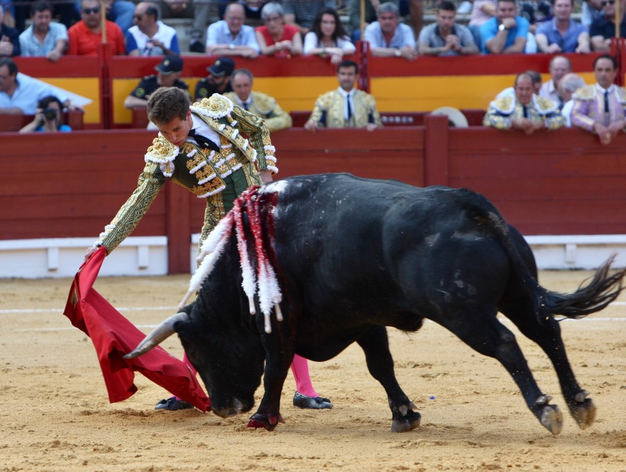 Alicante, viernes 21 de junio de 2019