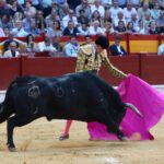 Alicante, viernes 21 de junio de 2019