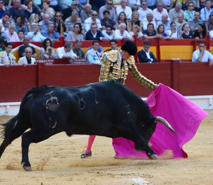 Alicante, viernes 21 de junio de 2019