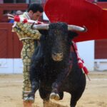 Alicante, viernes 21 de junio de 2019