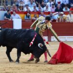 Alicante, viernes 21 de junio de 2019