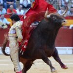 Alicante, viernes 21 de junio de 2019