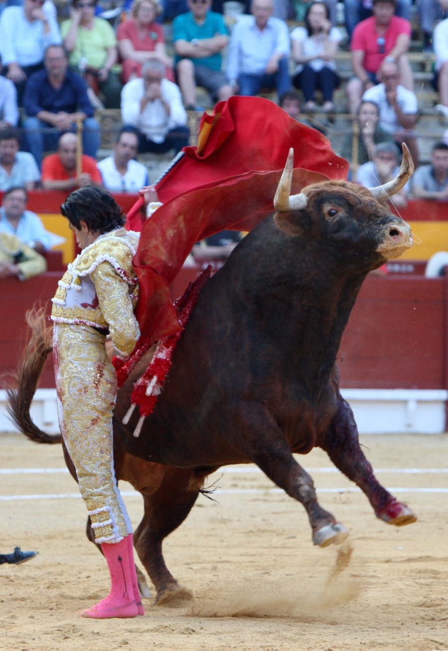 Alicante, viernes 21 de junio de 2019