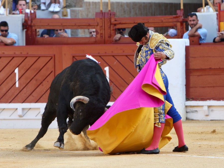 Alicante, domingo 23 de junio de 2019