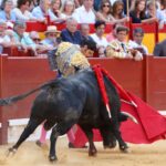 Alicante, domingo 23 de junio de 2019