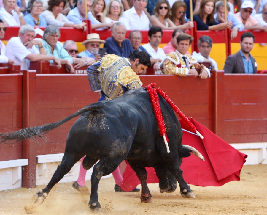 Alicante, domingo 23 de junio de 2019