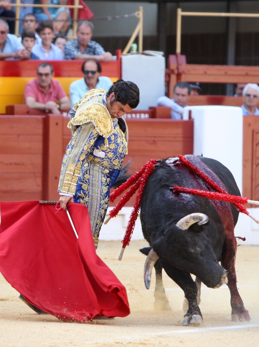 Alicante, domingo 23 de junio de 2019