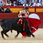 Alicante, domingo 23 de junio de 2019