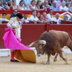 Alicante, domingo 23 de junio de 2019