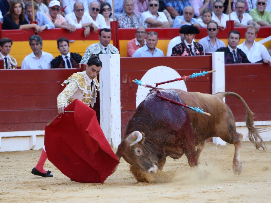 Alicante, domingo 23 de junio de 2019