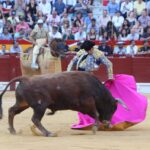 Alicante, domingo 23 de junio de 2019