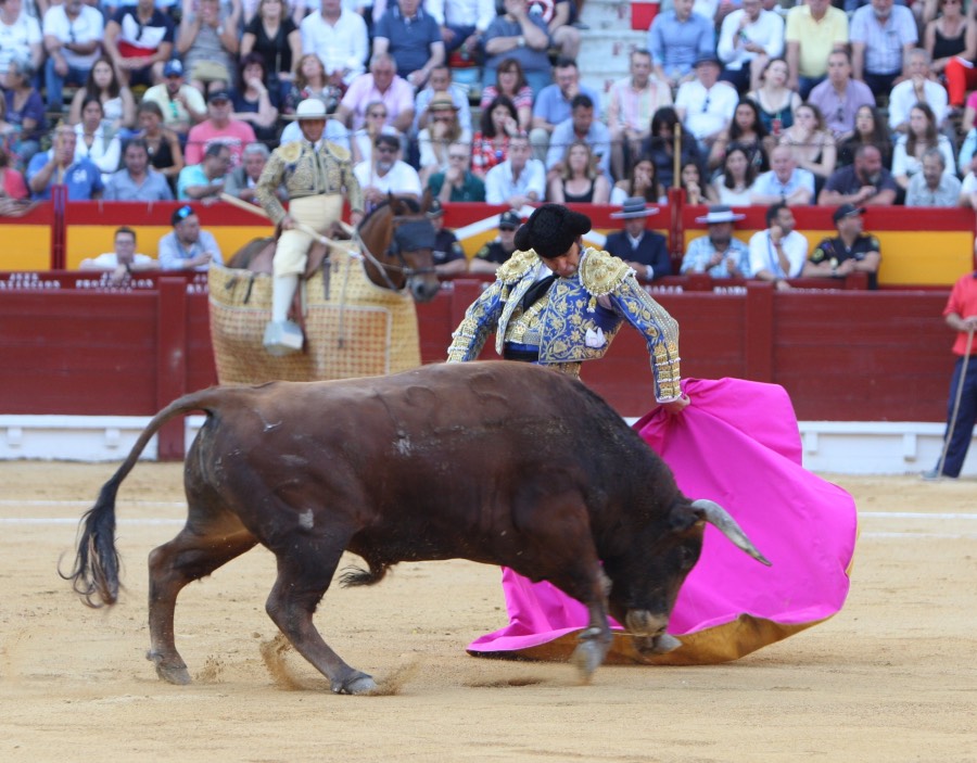 Alicante, domingo 23 de junio de 2019