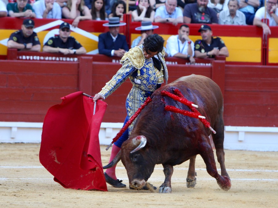 Alicante, domingo 23 de junio de 2019