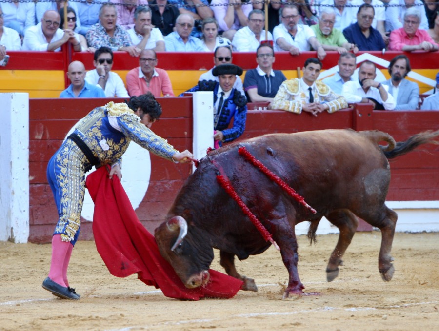 Alicante, domingo 23 de junio de 2019