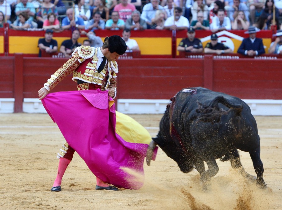 Alicante, domingo 23 de junio de 2019