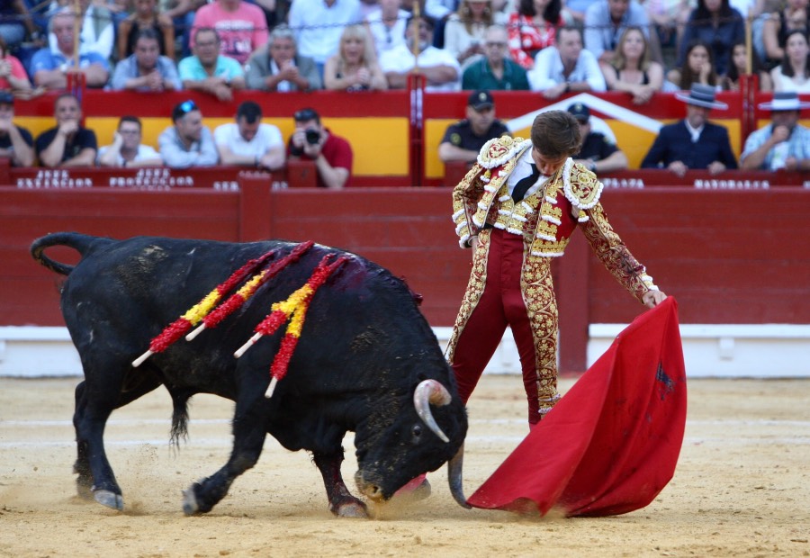 Alicante, domingo 23 de junio de 2019