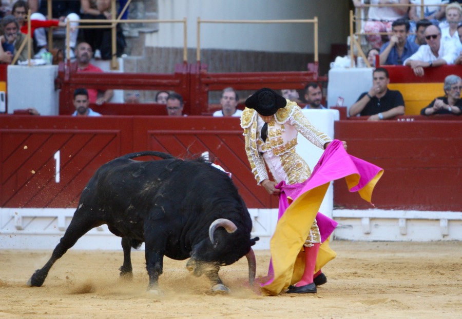Alicante, domingo 23 de junio de 2019