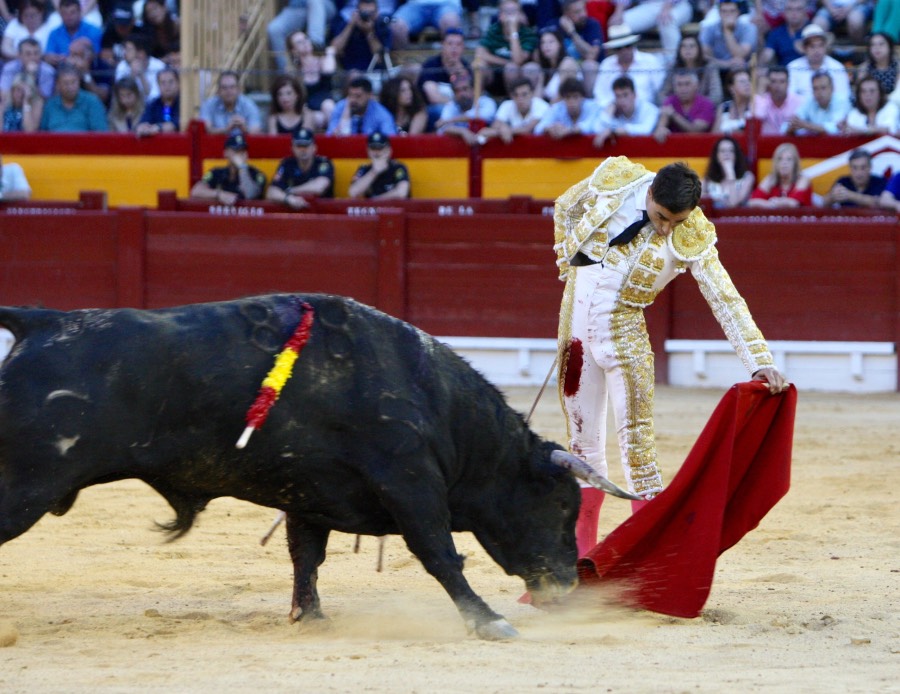 Alicante, domingo 23 de junio de 2019