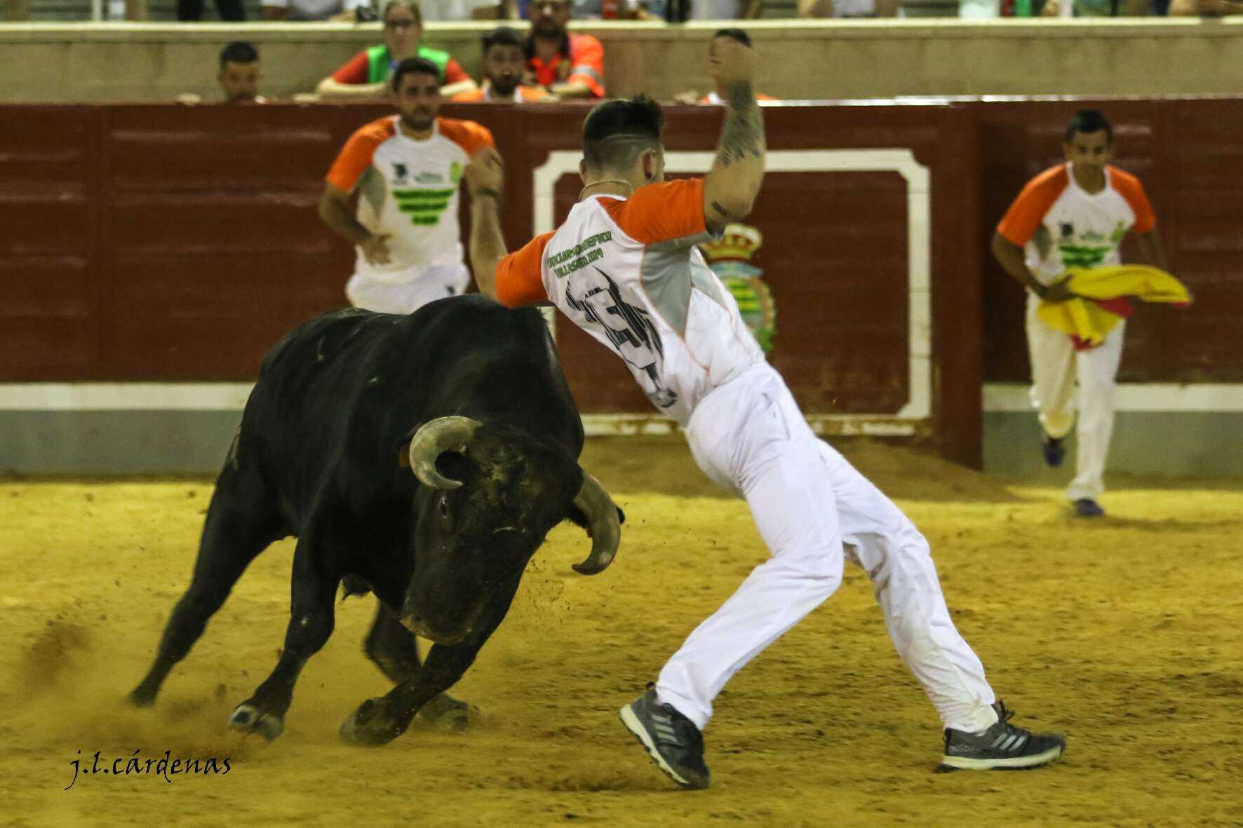 Concurso de recortes benéfico de Villaseca de la Sagra