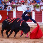 Zamora. Sábado 29 de junio de 2019